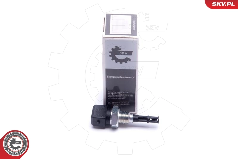Sensor, intake air temperature